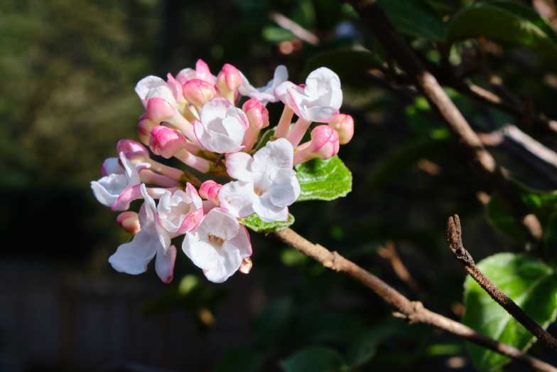 Spring Is Here